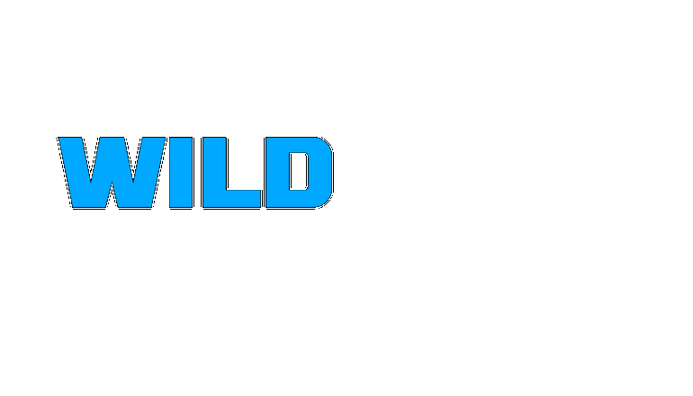ビギナーからベテランまで扱えるタブレット向けDTM「Wild Loops」 ビギナーからベテランまで扱えるタブレット向けDTM「Wild Loops」