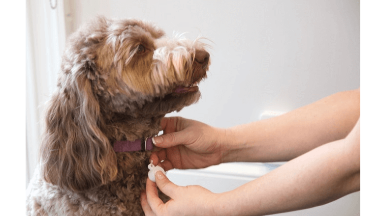 ワンちゃんのトイレトレーニング専用デバイス「Pup Potty Training」 ワンちゃんのトイレトレーニング専用デバイス「Pup Potty Training」