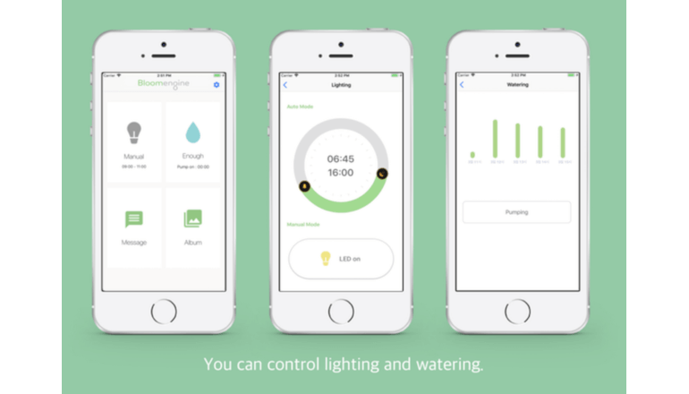 これぞ次世代の自動育成キット。植物をIoTで育てる「Bloomengine」