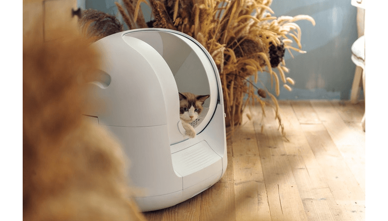 自動で清掃してくれる多機能猫用トイレ「Footloose」 - Foresight & Insight