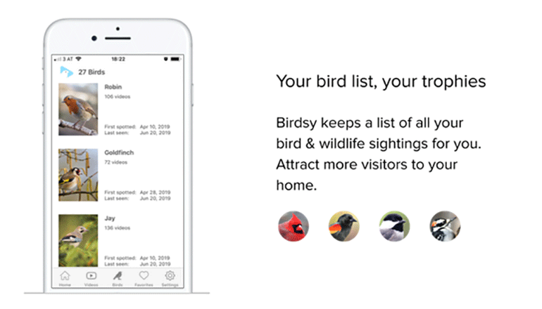 野鳥の観察を手軽に、正確に。「Birdsy」