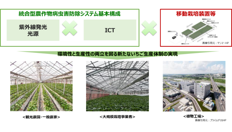農業DX、イチゴの病虫害を先端技術によりスマートに防除する