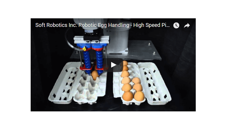 最新ロボットハンド５選 割れやすい卵や丸い棒もつかめる驚異の技術 Bp A ニュース Business Public Affairs Web Site
