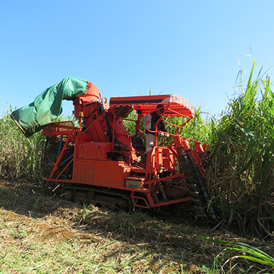 南の島でスマート農業、サトウキビ収穫と製糖工程にデータを活用する